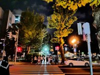 img (721)